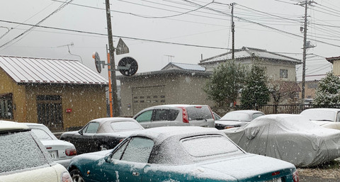 2019yuki.jpg