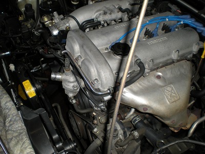 DSCN0679.jpg