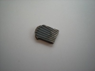 DSCN1284.jpg