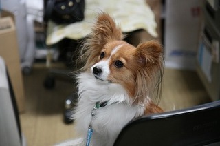 IMG_0462.jpg