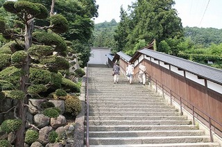 IMG_4488.jpg