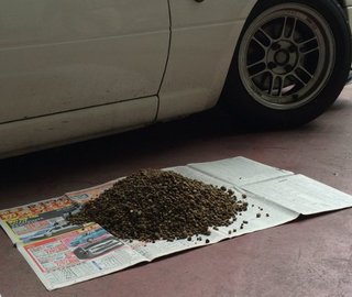 kusu.jpg