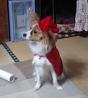 santa.jpg