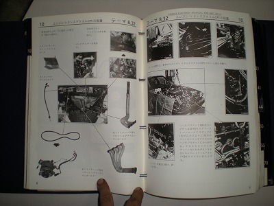 DSCN0784.jpg