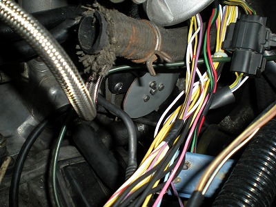 DSCN0797.jpg